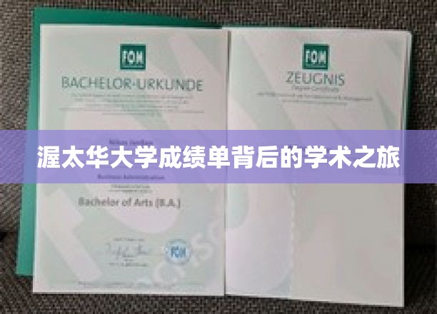 探索渥太华大学成绩单，揭秘学子们的学术征途