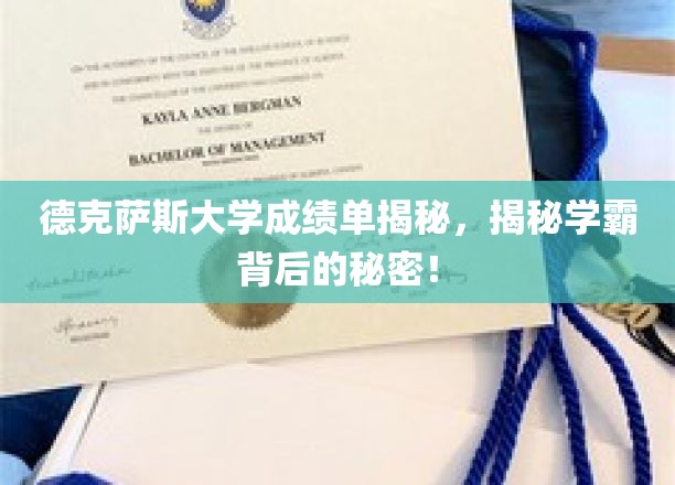 解码德克萨斯学霸，成绩单背后的惊人真相