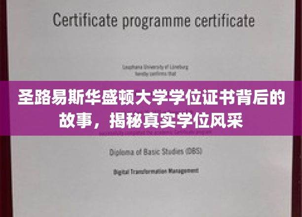 圣路易斯华盛顿大学学位证书背后的故事，揭秘真实学位风采