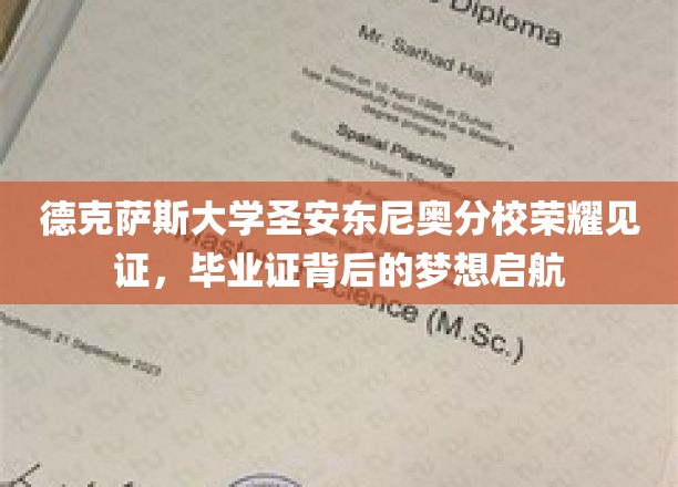 德克萨斯大学圣安东尼奥分校荣耀见证，毕业证背后的梦想启航