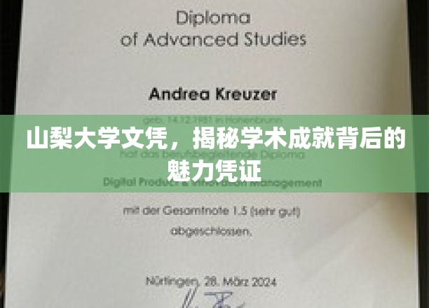 山梨大学文凭背后的学术光环，一纸文凭，成就无限可能