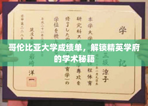 哥伦比亚大学成绩单揭秘，探寻顶尖学府的学术奥秘