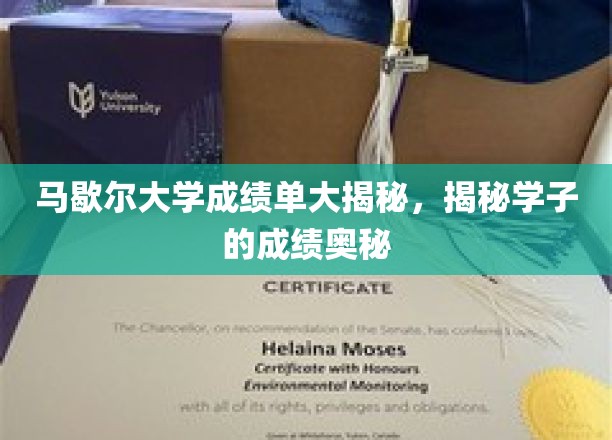 马歇尔大学成绩单大揭秘，揭秘学子的成绩奥秘