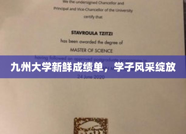 九州学子耀新篇，大学成绩单背后的风采展现