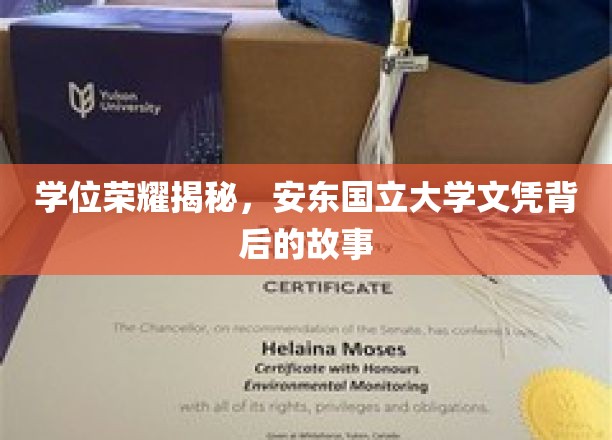 学位荣耀揭秘：安东国立大学文凭背后的故事