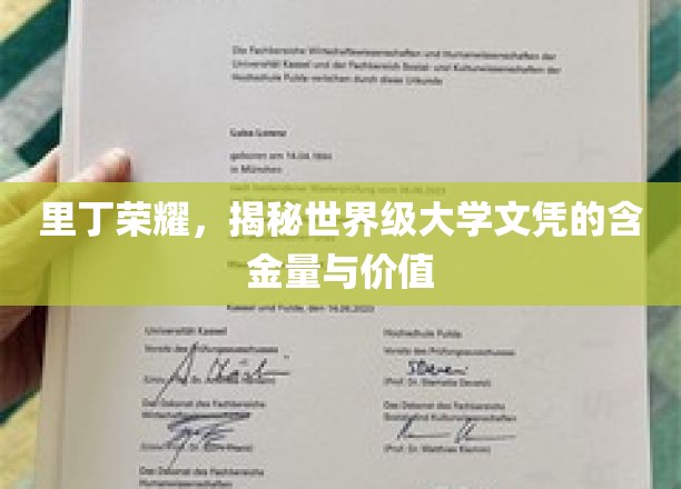 解码里丁荣耀，世界名校文凭的非凡价值与影响力