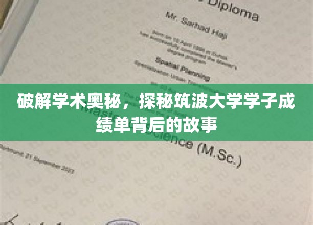 揭秘筑波大学学霸传奇，成绩单背后的不凡故事