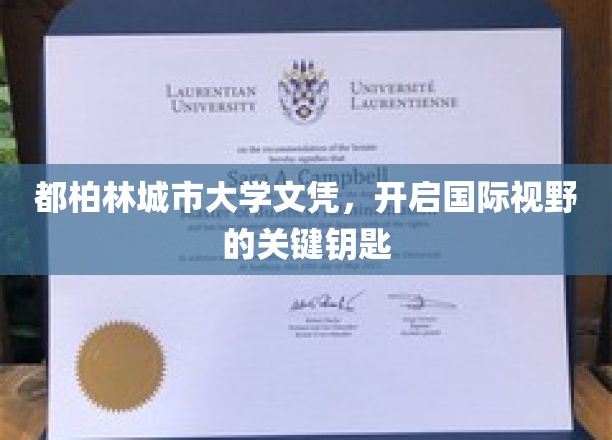 探索全球机遇，都柏林城市大学文凭，解锁国际视野新篇章
