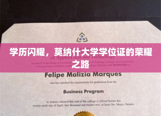 学位荣耀之旅，揭秘莫纳什大学学历的璀璨历程