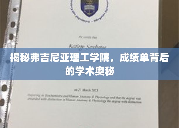 一探究竟：弗吉尼亚理工学院，成绩单背后的学术奥秘