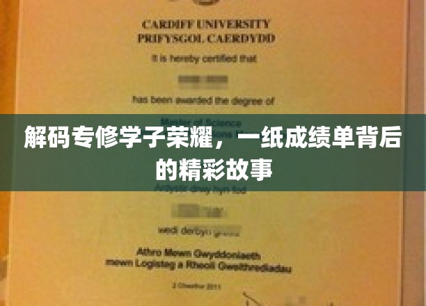 专修学子荣耀映照，揭秘成绩单背后的璀璨人生