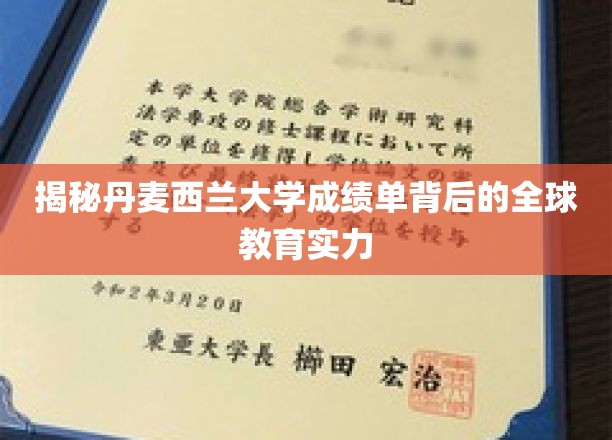 探寻丹麦西兰大学成绩单背后的国际教育魅力