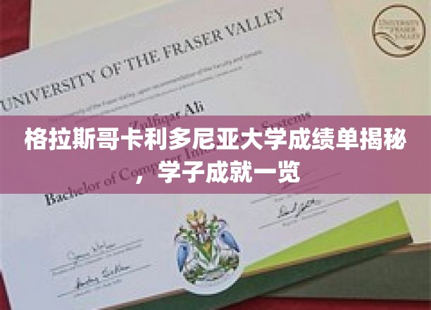 格拉斯哥卡利多尼亚大学成绩单揭秘，学子成就一览