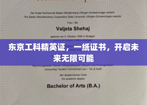 东京工科精英通行证，解锁未来职业新篇章