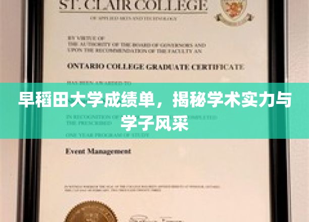 解码早稻田，学子风采与学术实力的双重绽放