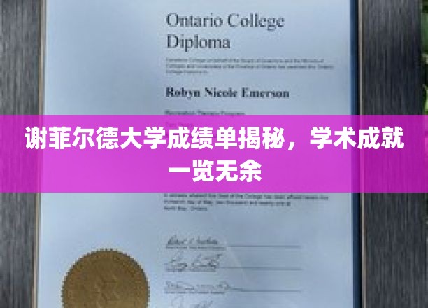 谢菲尔德大学成绩单揭秘，学术成就一览无余