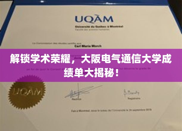 揭开荣耀面纱，大阪电气通信大学成绩单背后的学术实力大观