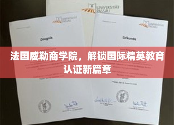 法国威勒商学院，开启国际精英教育认证新篇章
