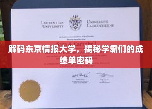 解码东京情报大学，揭秘学霸们的成绩单密码