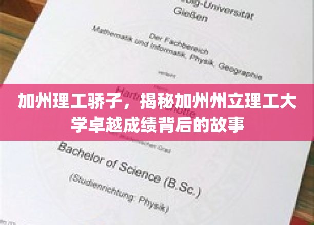加州理工骄子，揭秘加州州立理工大学卓越成绩背后的故事