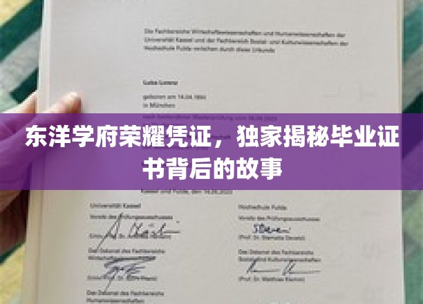 东洋学府荣耀凭证，独家揭秘毕业证书背后的故事