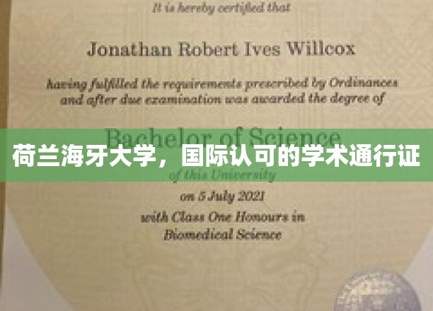 荷兰海牙大学，国际通行证中的学术明珠
