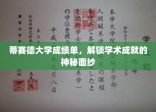 揭开蒂赛德大学成绩单背后的学术奥秘