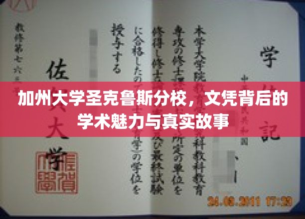 解码圣克鲁斯，加州大学文凭背后的学术传奇与真实面纱