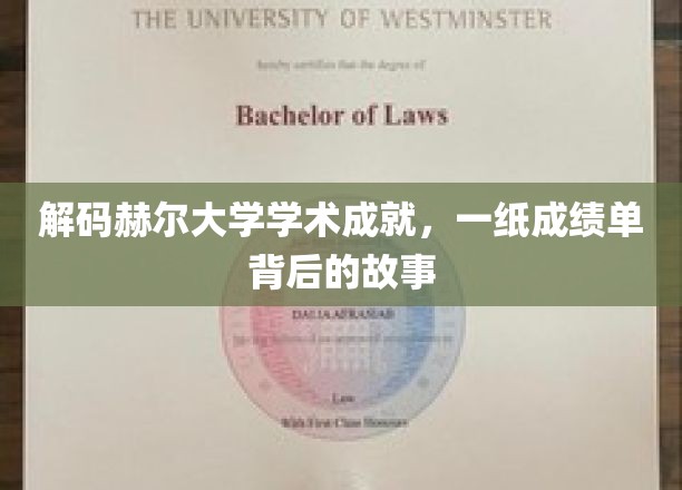 解码赫尔大学学术成就，一纸成绩单背后的故事