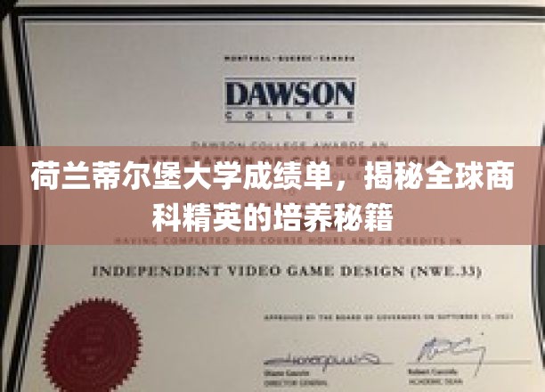 解码荷兰蒂尔堡大学，揭秘商科精英的成长密码