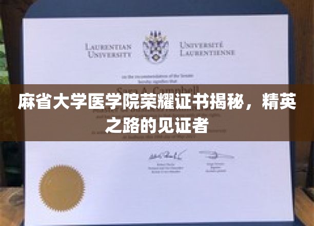 解锁精英之路，麻省大学医学院荣耀证书背后的故事