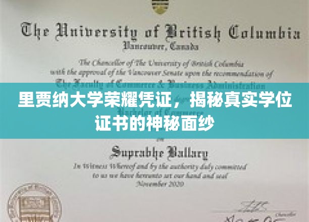 揭开里贾纳大学荣耀凭证的神秘学位证书之谜