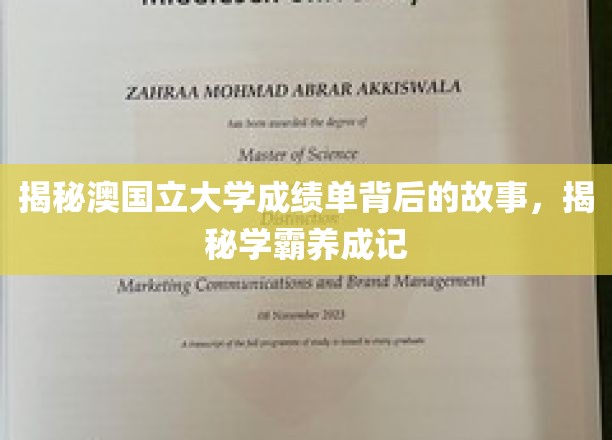 探秘学霸之路，澳国立大学成绩单背后的秘密档案