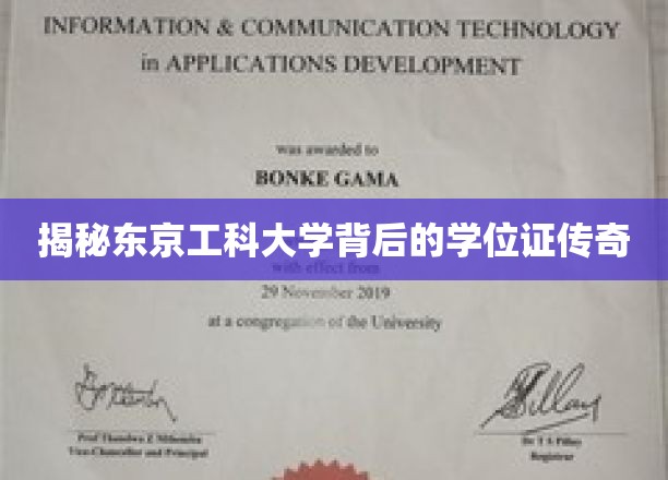 东京工科大学学位证背后的神秘光环