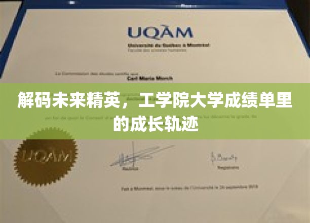 揭开工学院精英成长密码，成绩单背后的蜕变之路