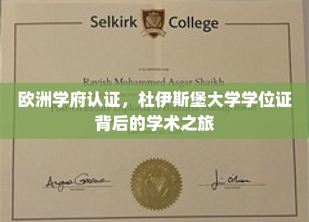 跨国教育通行证，揭秘杜伊斯堡大学学位证的学术传奇