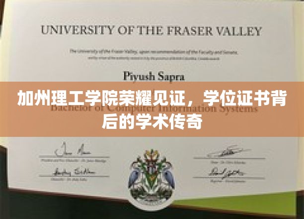加州理工闪耀荣耀，学位证书背后的学术璀璨故事