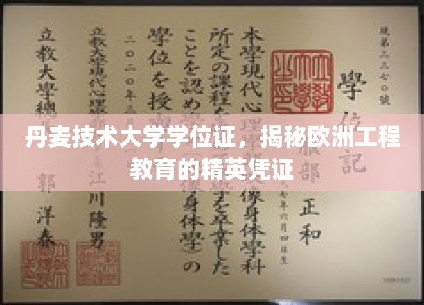 欧洲工程精英的通行证，揭秘丹麦技术大学学位证的含金量