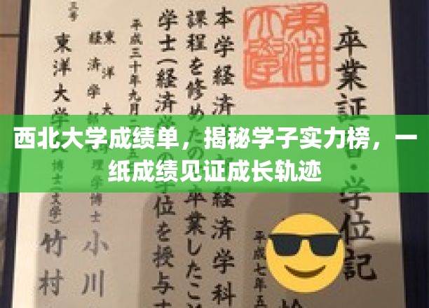 西北大学成绩单背后，学子实力风云录，一纸成绩展成长辉煌