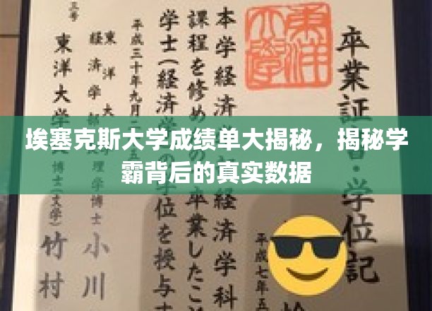 埃塞克斯大学成绩单大揭秘，揭秘学霸背后的真实数据