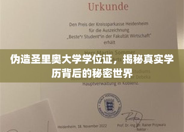 伪造圣里奥大学学位证，揭秘真实学历背后的秘密世界