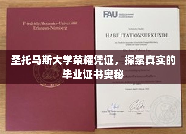 揭秘圣托马斯大学毕业证书背后的神秘面纱