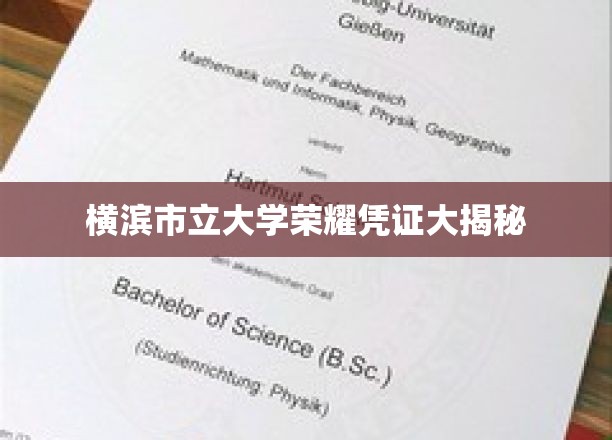 横滨市立大学荣耀凭证背后的故事揭秘