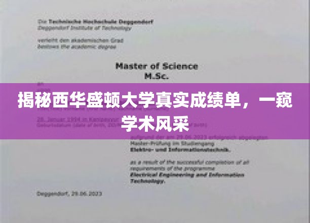 西华盛顿大学成绩单曝光，探寻学术之光