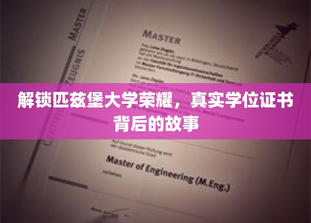 匹兹堡大学学位之谜，探寻荣耀背后的真实故事