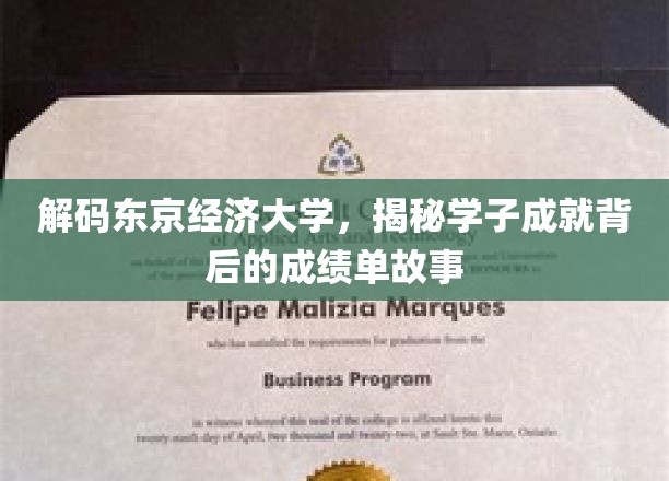 东京经济大学风采录，揭秘学子卓越成就背后的奋斗轨迹