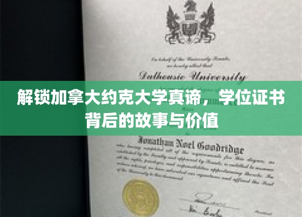 揭秘约克大学学位证书，探索学术之旅的价值与奥秘