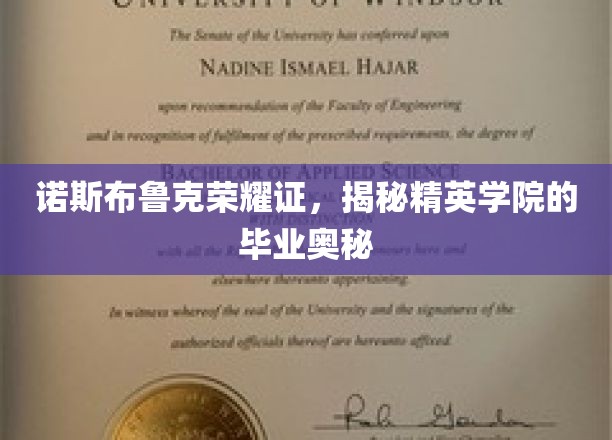 诺斯布鲁克荣耀证书，揭开精英学院的毕业奥秘