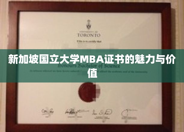 解码新加坡国立大学MBA证书，职场精英的黄金钥匙