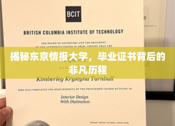 东京情报大学，毕业证书背后的传奇之旅